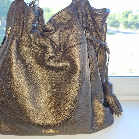 Cole Haan double tassel limited edition bronze metallic bucket bag EUC - Picture 13 of 14